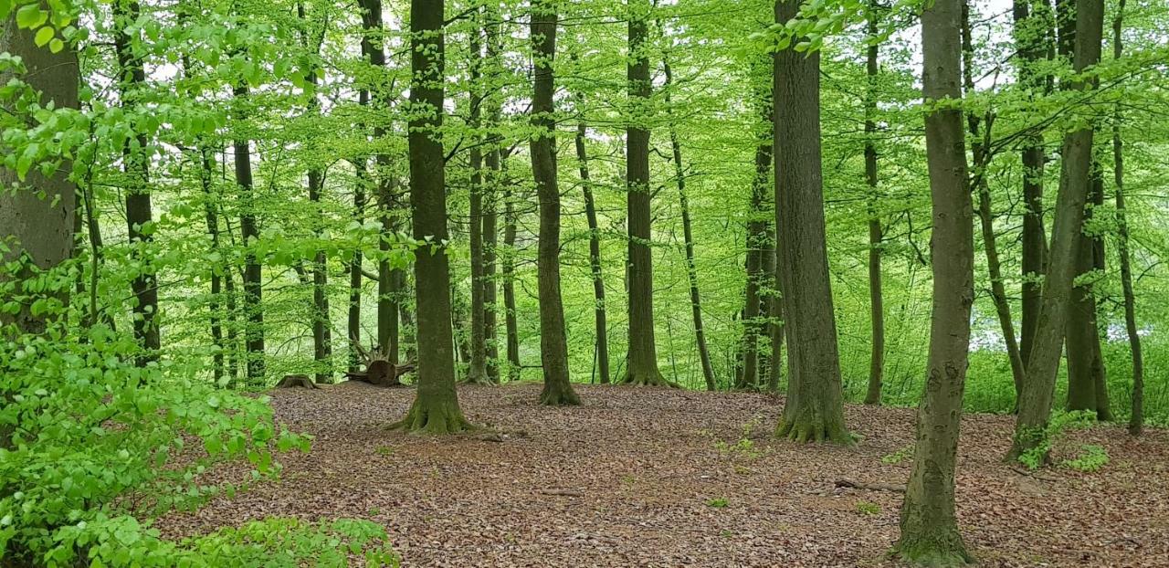 Ferienhaus Heide Bad Fallingbostel Zewnętrze zdjęcie